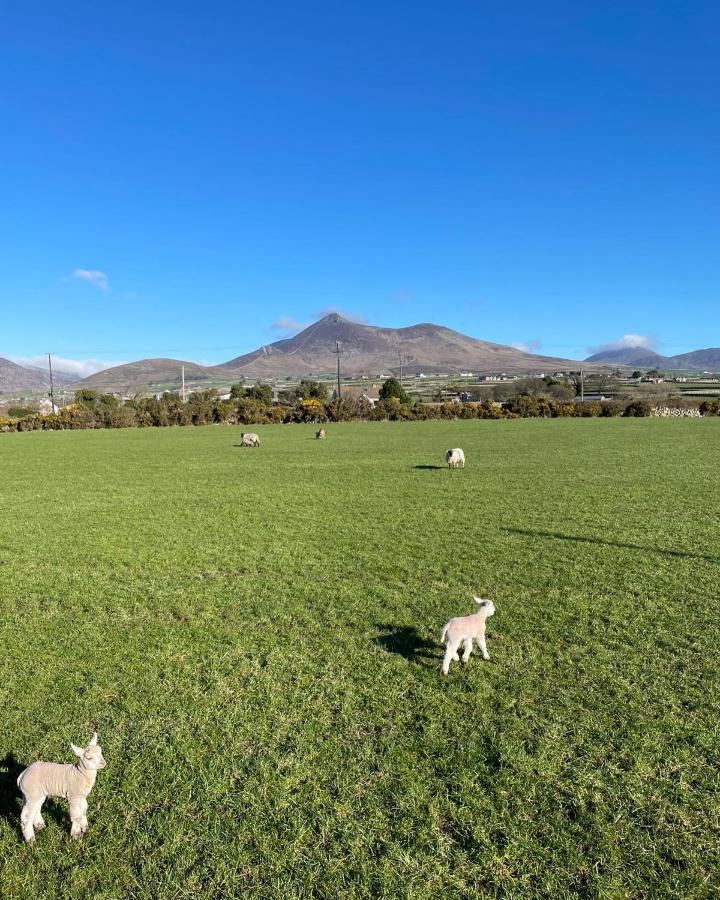 Quintenvale House Kilkeel Kültér fotó
